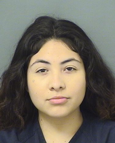  MICAELA ABRIL GUTIERREZ Results from Palm Beach County Florida for  MICAELA ABRIL GUTIERREZ