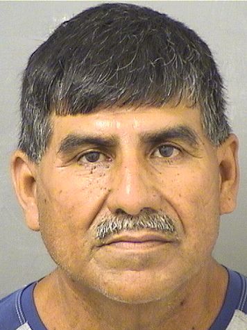  IRINEO FLORES BUSTOS Resultados de la busqueda para Palm Beach County Florida para  IRINEO FLORES BUSTOS