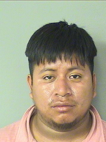  JUAN REMIGIORAMIREZ Results from Palm Beach County Florida for  JUAN REMIGIORAMIREZ