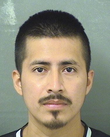 WILLIAM CHAVEZ Results from Palm Beach County Florida for WILLIAM CHAVEZ WILLIAM CHAVEZ Results from Palm Beach County Florida for WILLIAM CHAVEZ