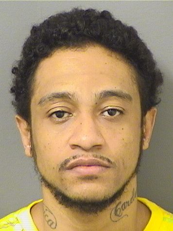  RAMON FUERTES Results from Palm Beach County Florida for  RAMON FUERTES