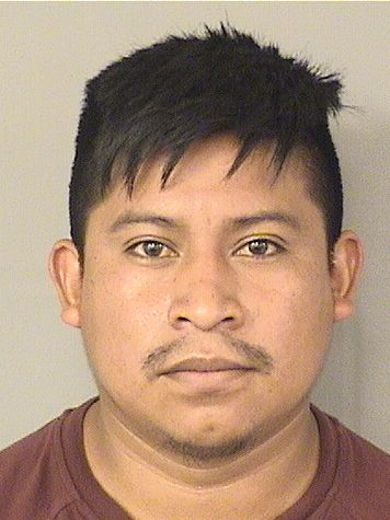  RAFAEL SINCALEJCALON Photo For  RAFAEL SINCALEJCALON