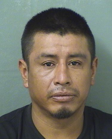  SEBASTIAN MATEOJ GASPAR Results from Palm Beach County Florida for  SEBASTIAN MATEOJ GASPAR