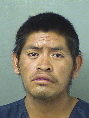 JUAN HERNANDEZGOMEZ Results from Palm Beach County Florida for JUAN HERNANDEZGOMEZ JUAN HERNANDEZGOMEZ Results from Palm Beach County Florida for JUAN HERNANDEZGOMEZ