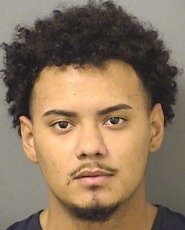  JORGE A SANCHEZ Results from Palm Beach County Florida for  JORGE A SANCHEZ