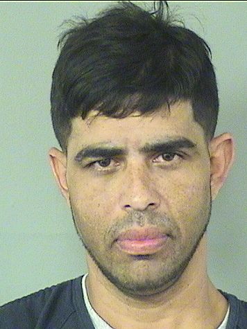  JOSE ALBERTO PENAHIDALGO Results from Palm Beach County Florida for  JOSE ALBERTO PENAHIDALGO