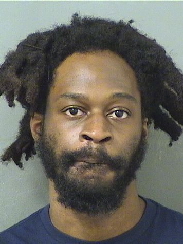  DAVID J OPSAINT Resultados de la busqueda para Palm Beach County Florida para  DAVID J OPSAINT