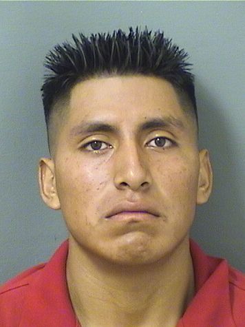  MAICO AGUSTINMORALES Results from Palm Beach County Florida for  MAICO AGUSTINMORALES