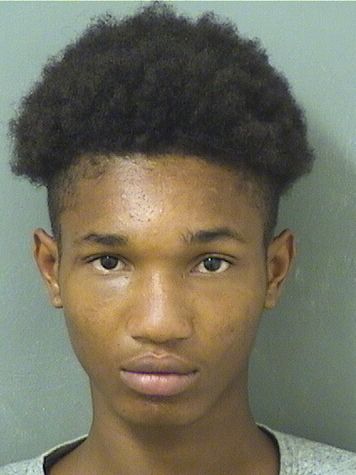  PIERRE JEANNOT Resultados de la busqueda para Palm Beach County Florida para  PIERRE JEANNOT