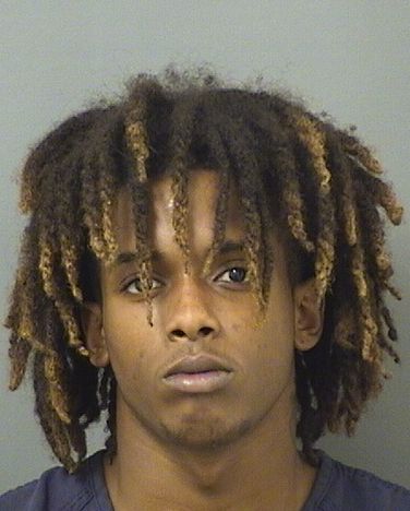  FRANCISCO JIMINEZBRITO Results from Palm Beach County Florida for  FRANCISCO JIMINEZBRITO