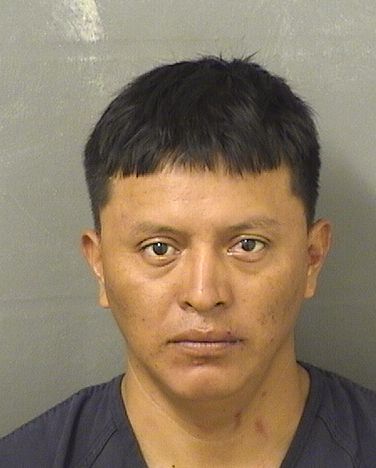  RUMALDO SEBASTIANMATEO Results from Palm Beach County Florida for  RUMALDO SEBASTIANMATEO