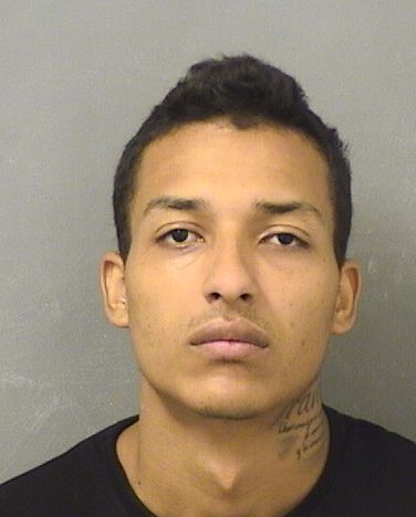  JOSE ALBERTO LISABETNORMAN Results from Palm Beach County Florida for  JOSE ALBERTO LISABETNORMAN