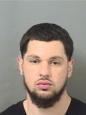  DOMENICK ALLESSADRINE Results from Palm Beach County Florida for  DOMENICK ALLESSADRINE