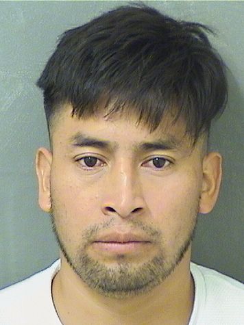  PEDRO LOPEZ DIEGOLEONZO Resultados de la busqueda para Palm Beach County Florida para  PEDRO LOPEZ DIEGOLEONZO