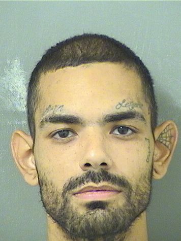  JOSHUA A PERALTA Resultados de la busqueda para Palm Beach County Florida para  JOSHUA A PERALTA