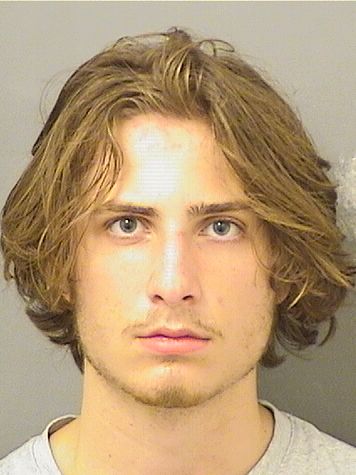  AIDEN J ZULIA Results from Palm Beach County Florida for  AIDEN J ZULIA