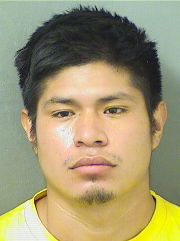 ROSARIO HERNANDEZMORALES Resultados de la busqueda para Palm Beach County Florida para  ROSARIO HERNANDEZMORALES