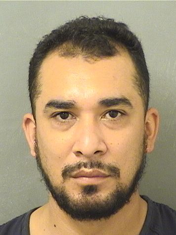  WILSON OMAR MEDRANOMAEDA Resultados de la busqueda para Palm Beach County Florida para  WILSON OMAR MEDRANOMAEDA