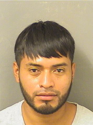  MANUEL ANDRES HERNANDEZ Results from Palm Beach County Florida for  MANUEL ANDRES HERNANDEZ