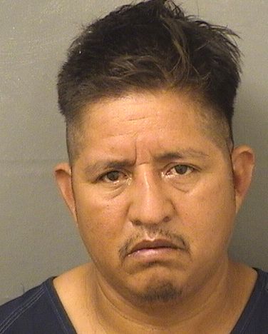  JOSE MATEO HERNANDEZ Results from Palm Beach County Florida for  JOSE MATEO HERNANDEZ