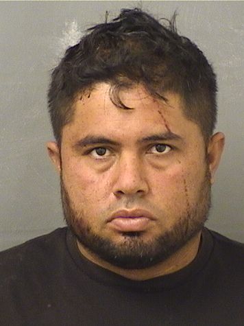  JOSE MORENOCRUZ Results from Palm Beach County Florida for  JOSE MORENOCRUZ