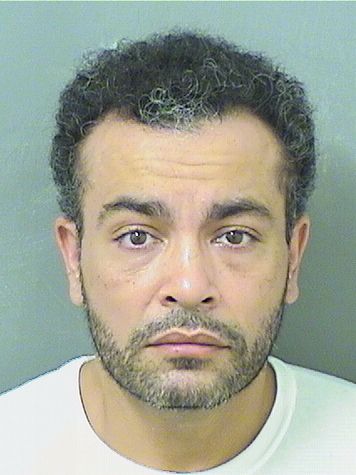  DILPREET SINGH Results from Palm Beach County Florida for  DILPREET SINGH