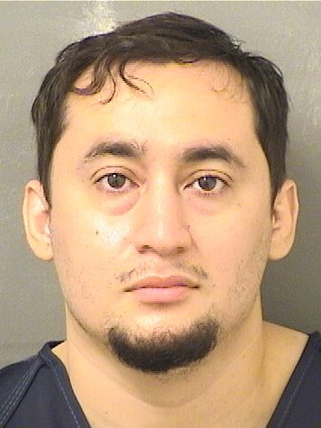  VICTOR ALBERTO LEDON Results from Palm Beach County Florida for  VICTOR ALBERTO LEDON