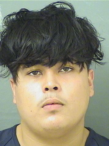  DIEGO FERNANDO SANCHEZROBLEDO Results from Palm Beach County Florida for  DIEGO FERNANDO SANCHEZROBLEDO