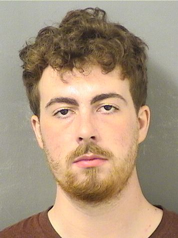  GAVIN C HIERONYMUS Results from Palm Beach County Florida for  GAVIN C HIERONYMUS