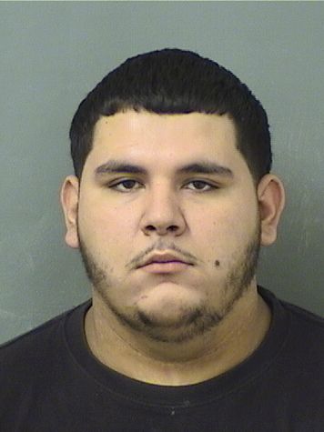  WILL STEVEN GRANGA Photo For  WILL STEVEN GRANGA