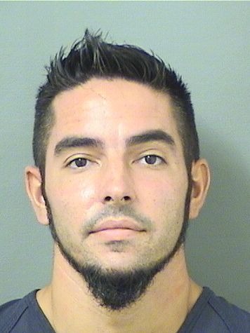  MICHAEL LEONARD BOCHICCHIO Results from Palm Beach County Florida for  MICHAEL LEONARD BOCHICCHIO