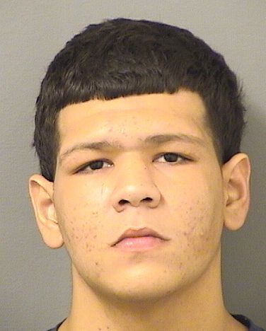  ADHAM RAHME Results from Palm Beach County Florida for  ADHAM RAHME