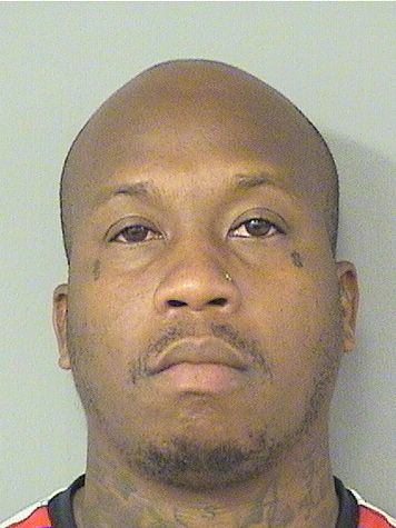  RYAN JAVON DAVIS Results from Palm Beach County Florida for  RYAN JAVON DAVIS