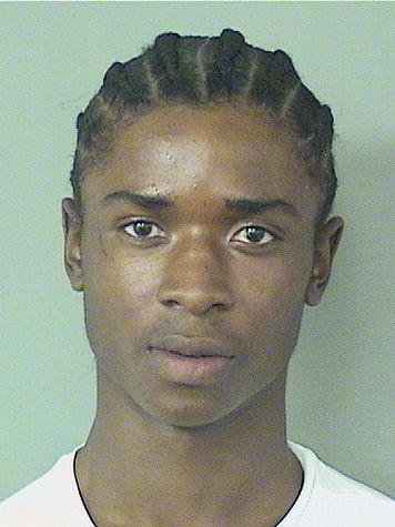  ROBERT L NERO Resultados de la busqueda para Palm Beach County Florida para  ROBERT L NERO