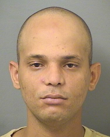  MAYKEL ABREU Results from Palm Beach County Florida for  MAYKEL ABREU