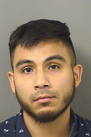  GUERSON D ROA Results from Palm Beach County Florida for  GUERSON D ROA