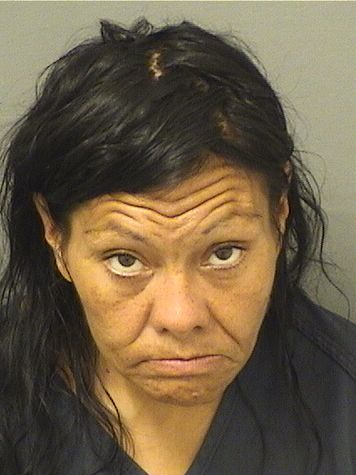 TANIA WILCOTT resultados de la busqueda para Palm Beach County Florida para  TANIA WILCOTT  TANIA WILCOTT Resultados de la busqueda para Palm Beach County Florida para  TANIA WILCOTT