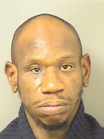  MICHAEL BERNARD DAVIS Results from Palm Beach County Florida for  MICHAEL BERNARD DAVIS