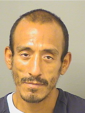  ARCE AREVALO Photo For  ARCE AREVALO