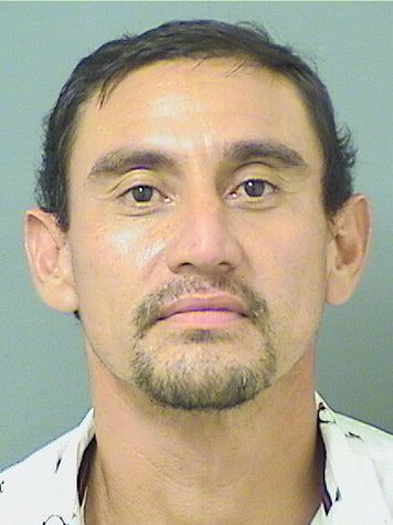  VISENTE  Jr HERNANDEZ Results from Palm Beach County Florida for  VISENTE  Jr HERNANDEZ