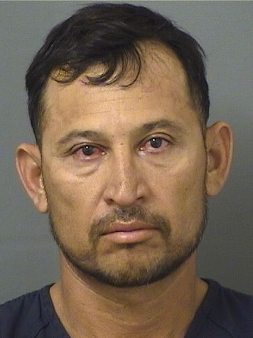  SAMUEL TREJOAGUILAR Results from Palm Beach County Florida for  SAMUEL TREJOAGUILAR