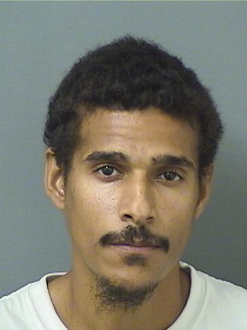  LUIS ARESSANTIAGO Resultados de la busqueda para Palm Beach County Florida para  LUIS ARESSANTIAGO