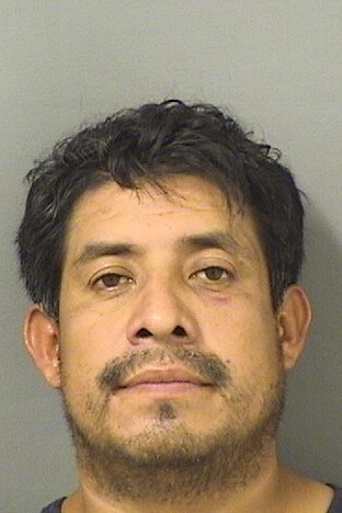  OSCAR CRUZROSALES Resultados de la busqueda para Palm Beach County Florida para  OSCAR CRUZROSALES