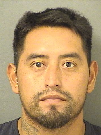  BYRON MATEO VASQUEZPEREZ Resultados de la busqueda para Palm Beach County Florida para  BYRON MATEO VASQUEZPEREZ