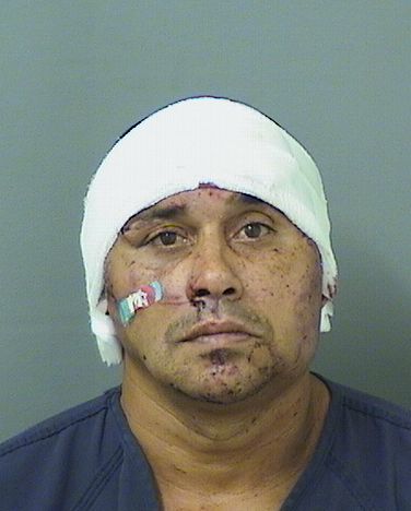  YORDAN DALATORREPOCHECT Resultados de la busqueda para Palm Beach County Florida para  YORDAN DALATORREPOCHECT