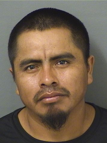  ROBERTO JUAN FRANCISCO Photo