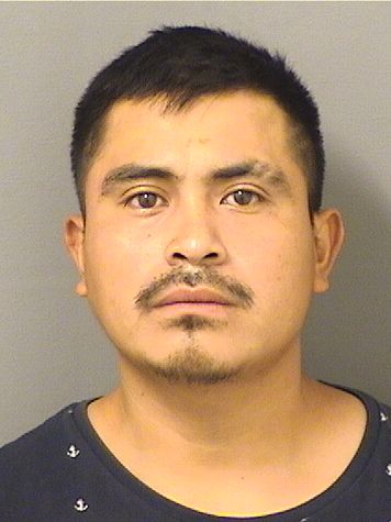  LUIS CHUNRAMIREZ Results from Palm Beach County Florida for  LUIS CHUNRAMIREZ