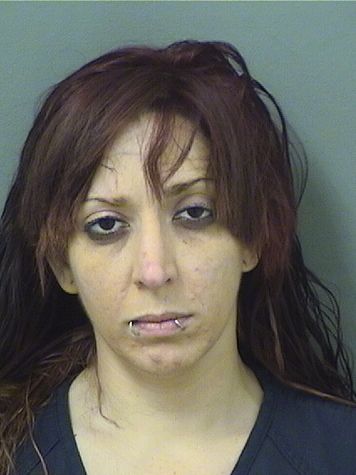  ASHLEY NICOLE HEISER Resultados de la busqueda para Palm Beach County Florida para  ASHLEY NICOLE HEISER