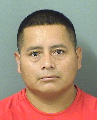 FRANCISCO GREGORIO PACHECO resultados de la busqueda para Palm Beach County Florida para  FRANCISCO GREGORIO PACHECO  FRANCISCO GREGORIO PACHECO Resultados de la busqueda para Palm Beach County Florida para  FRANCISCO GREGORIO PACHECO