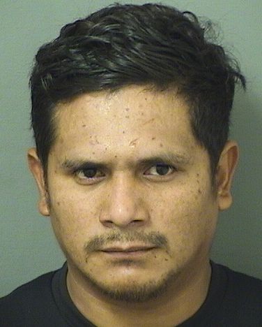  JOSEMANUEL ORTEGARAMOS Resultados de la busqueda para Palm Beach County Florida para  JOSEMANUEL ORTEGARAMOS